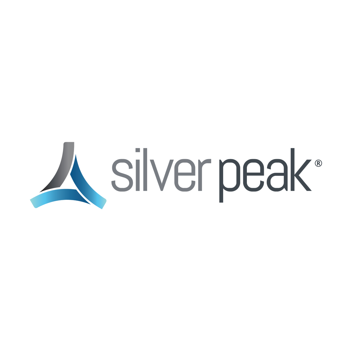 Silver Peak Hpe Anw Ec-10106 1 YR Maint