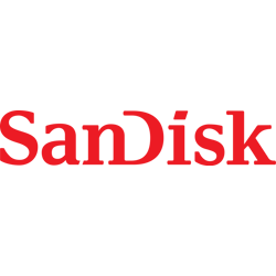 SanDisk Ultra Fit 256 GB USB 3.1 Flash Drive - Black