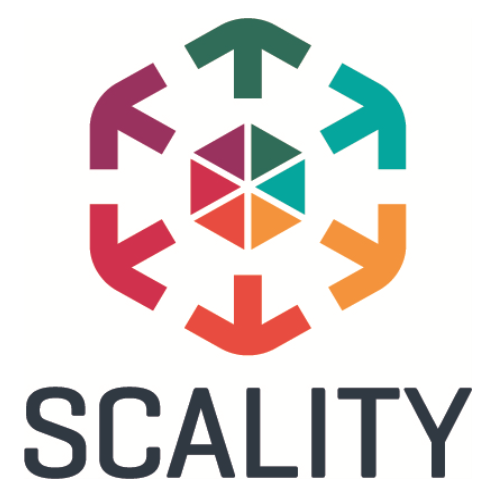 Scality Ring Geo Subscription