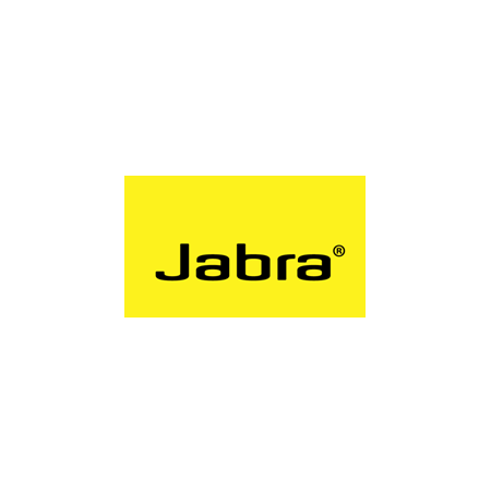Jabra Biz 2300 Duo Usb MS Gsa