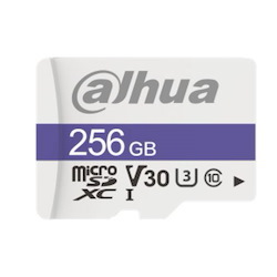 Dahua C100 256GB Microsd Memory Card