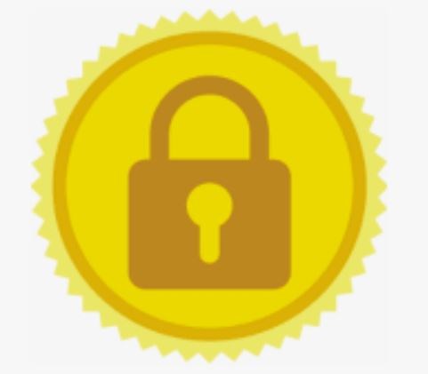 Positive SSL Certificate