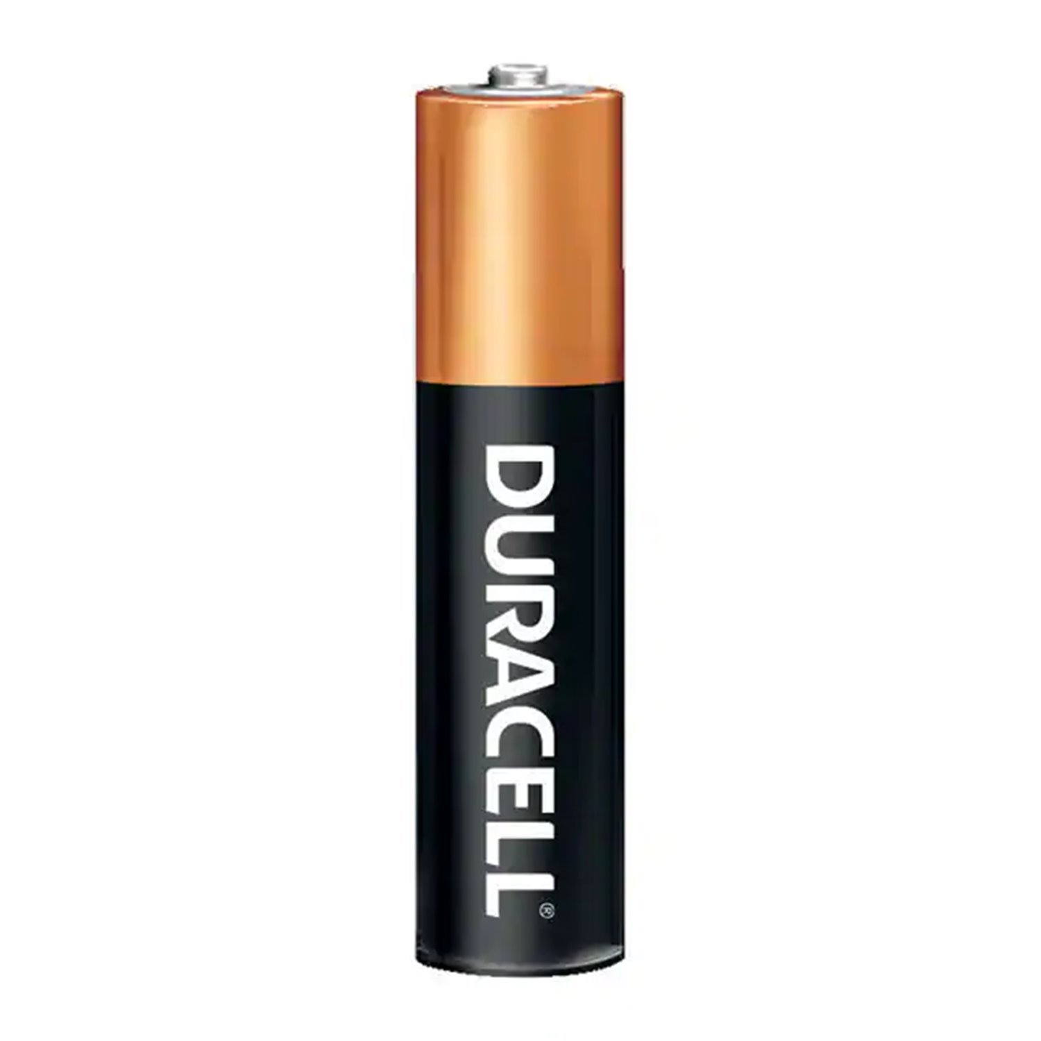 Duracell Coppertop Alkaline Aaa Battery Bulk Pack Of 24 Manganese Dioxide 1.5V Non-Rechargeable (Primary)