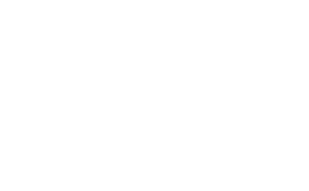 Lane Technology Solutions