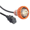 D315D19-300 - Input Cable 15Amp 3 Pin Captive Screw-Lock Plug to 15A IEC C19 3mtr
