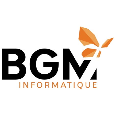 BGM Extention Pour Poteau De 30" Pour Pfb220/Insx220c
