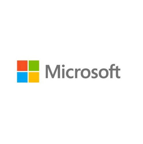 Microsoft Windows Server 2019 - License - 1 User CAL