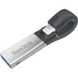 SanDisk San FLS Usb-256Gb-Sdix30n-256G-Gn6ne