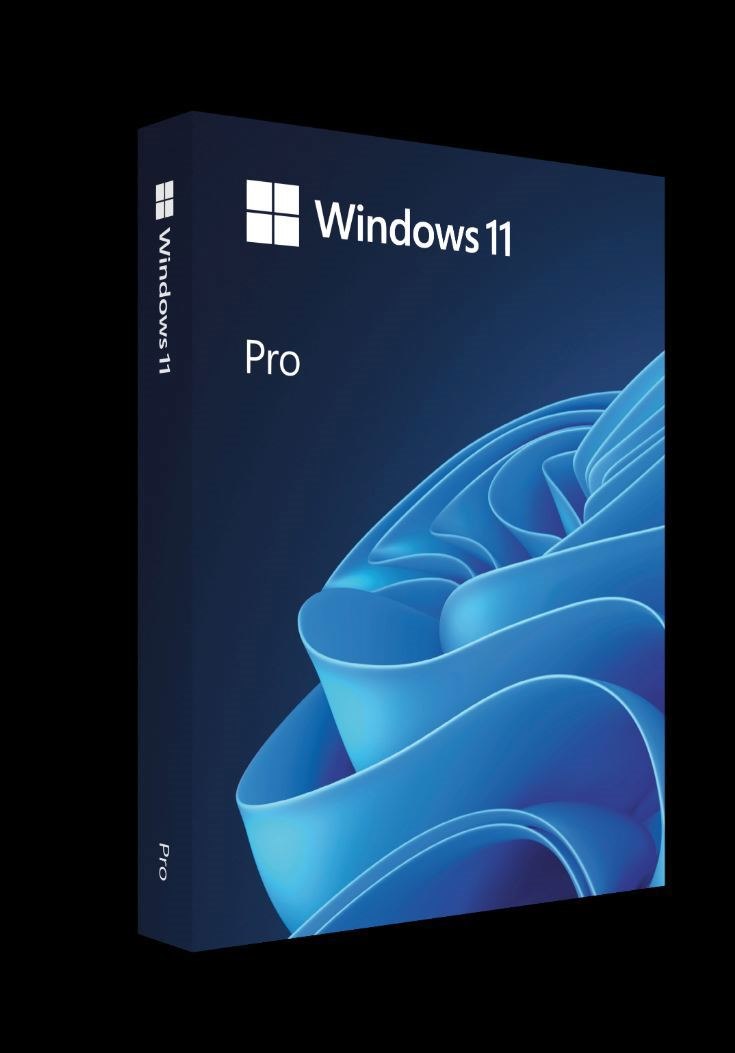 Microsoft Windows 11 Pro 64-bit - License - 1 License