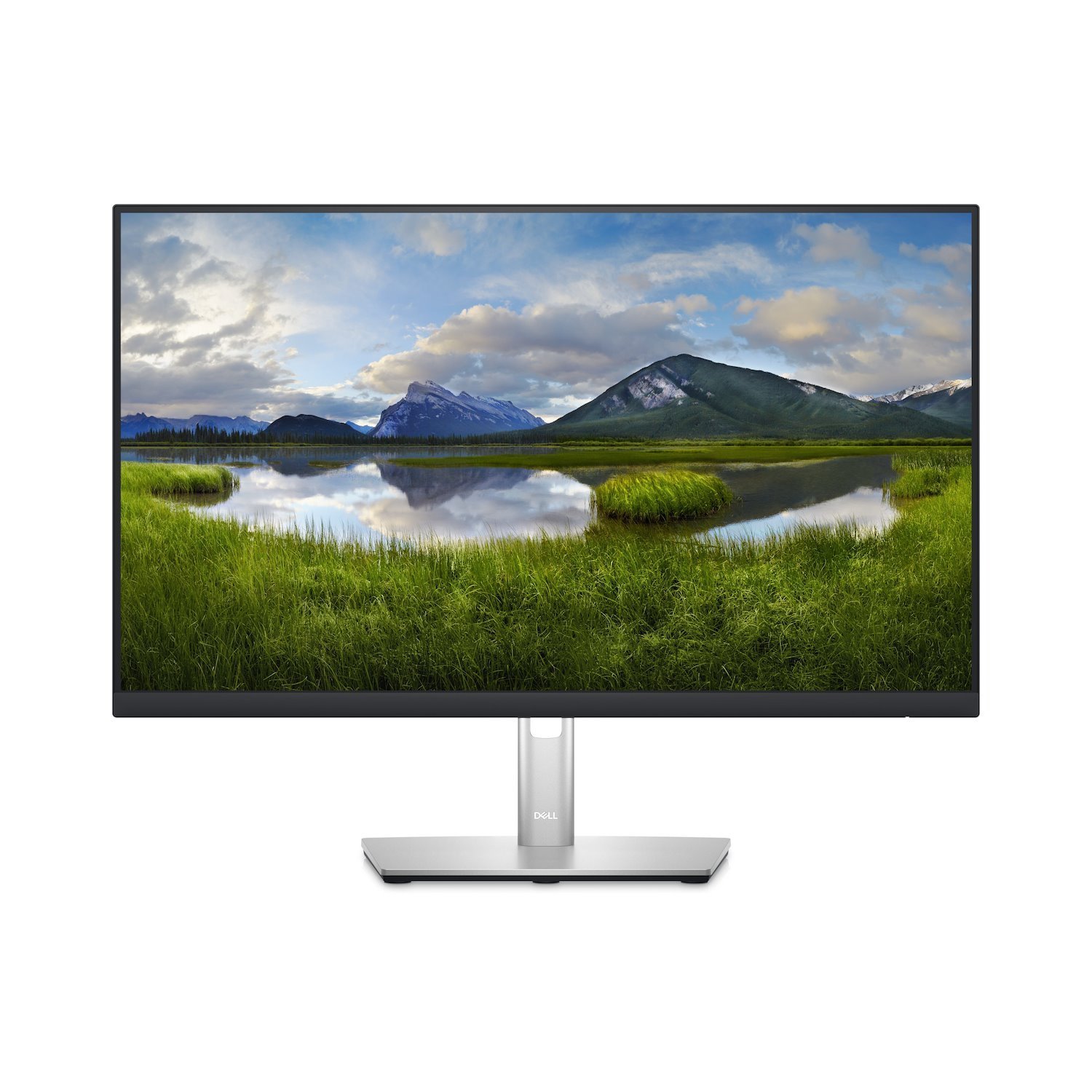 Dell P2423D 24" Class WQHD LCD Monitor - 16:9 - Black