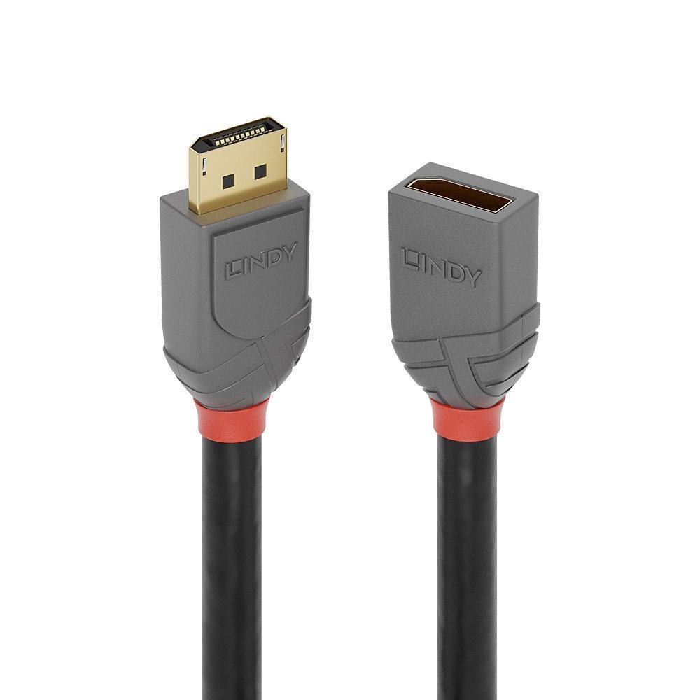 Lindy 3M DP 1.4Extension Anthra Line (3M Displayport 1.4 Extension - Cable Anthra Line)