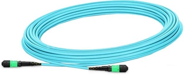 NVIDIA 30 m Fibre Optic Network Cable