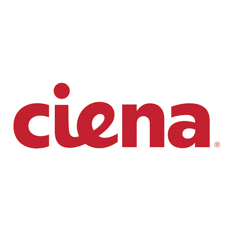 Ciena 8180 L3/MPLS Packet Switching Perpetual