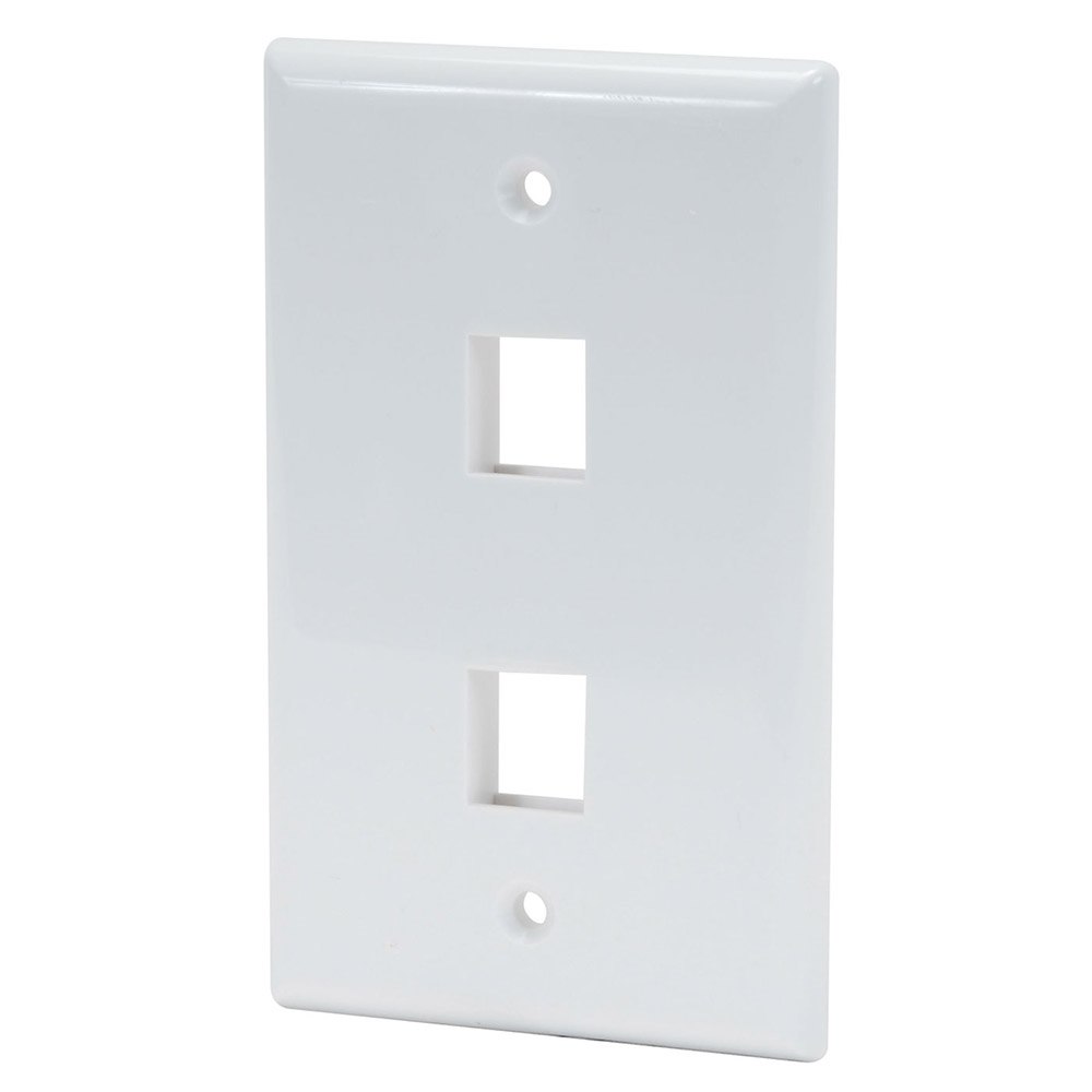 Generic Flush Plate - 2 Port (Unloaded)