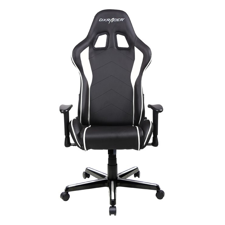 DXRacer F Series Gaming Chair, Sparco Style, Neck/Lumbar Support - Black &Amp; White