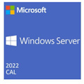 Microsoft Windows Server 2022 - License - 5 Device CAL
