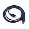 8WARE 2 m DisplayPort A/V Cable for Audio/Video Device, TV, Projector, Notebook