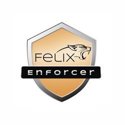 Felix Enforcer Security, Protects Against Malware & Threats,1 User, 12MTH Sub Oem