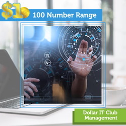 Dollar IT Club Add On: Guaranteed Uptime