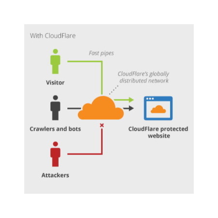Cloudflare (Annual Business Plan) 