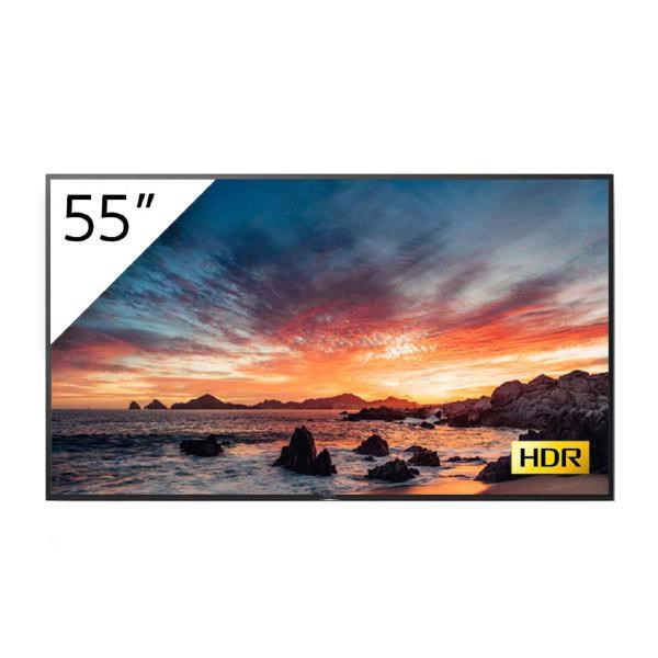 Sony Pro Bravia 55" Entry 4K HDR TV Display Panel