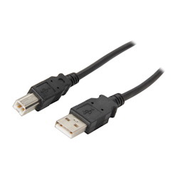 Bytecc Usb 2.0 Cable- A Male To Type B Male