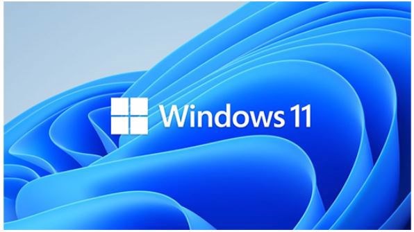 Microsoft Windows 11 Pro For Workstations Oem - DVD Retail Pack