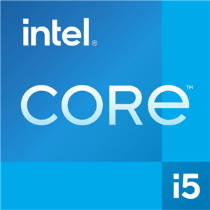 Intel Core i5 (13th Gen) i5-13400F Deca-core (10 Core) 2.50 GHz Processor