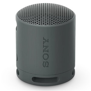 Sony SRSXB100H Wireless Speaker Grey