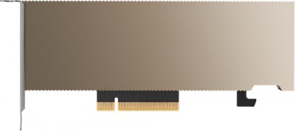 Nvidia A2, 16GB 6251MHz, GDDR6 128-Bit, 200GB/s, PCIe Gen4 X8, Single Slot, 40-60W, Tensor Core Gpu, Low Profile, Ampere, 2YR Warranty