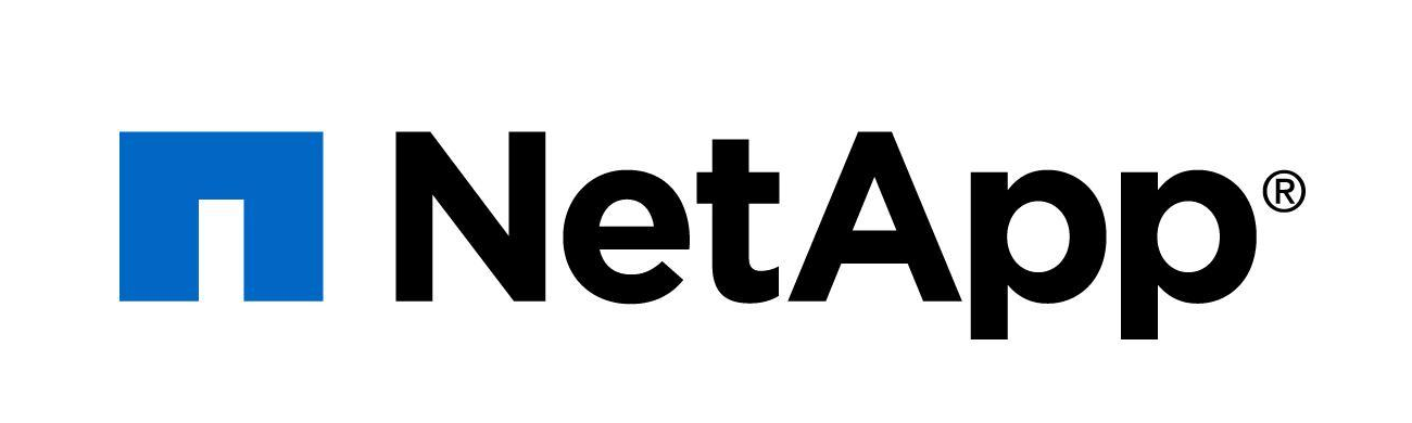 NetApp S/VPN Access For Qa