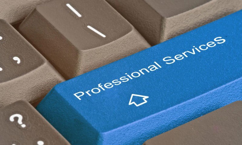 Professional Services 