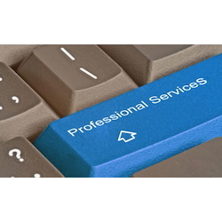 Professional Services 