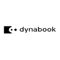 Dynabook XC10 500 GB Portable Solid State Drive - External - Silver