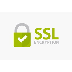  2 Year Standard SSL Renewal
