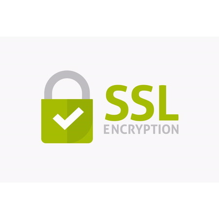 1 Year Standard SSL Renewal