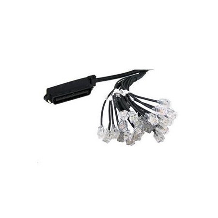 Patton 6 FT Cable (50 Pin TELCO-to-24 RJ11) For Patton SN4324 4424 And 4924
