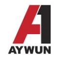 Aywun SQ05v2 4Pin Molex To 8Pin Eps Cable - Free 1:1 With Caa1-Sq05-300W-V2