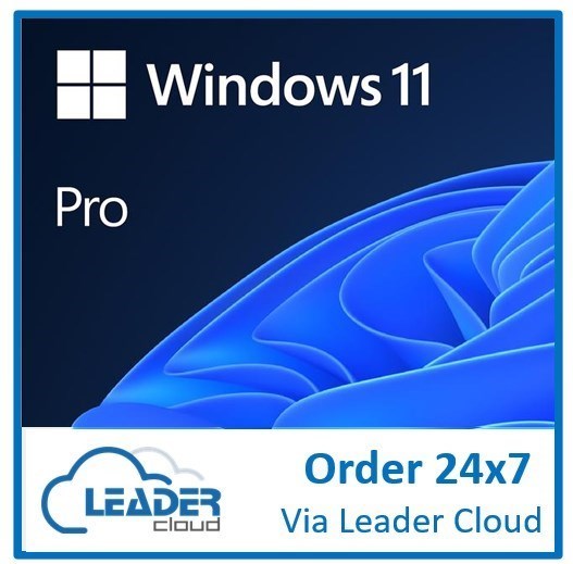 Microsoft Windows 11 Pro 64-bit - License - 1 License