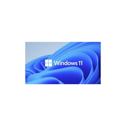 Microsoft Windows 11 Pro 64-bit for Workstations - License - 1 License
