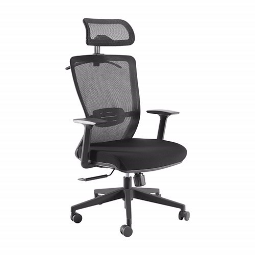Brateck Ergonomic Mesh Office Chair With Headrest (64X45X110~120CM) Up To 150KG - Mesh Fabric