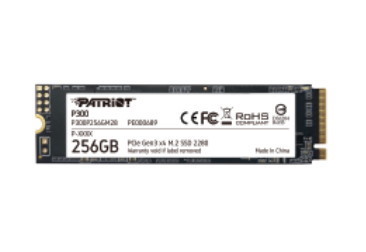 Patriot Pat SSD 256GB-P300P256GM28-M2