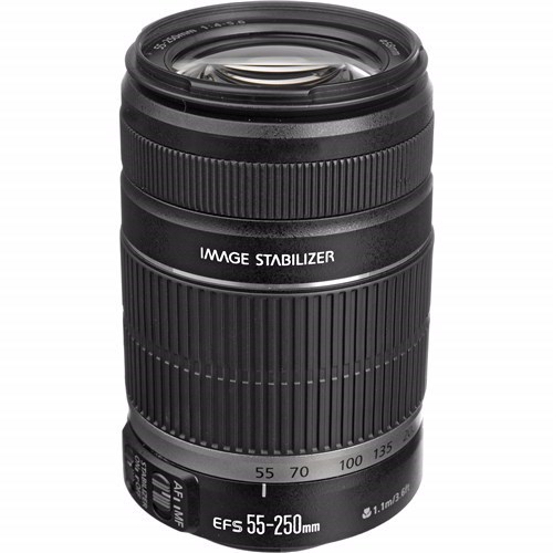 Canon - 55 mm to 250 mmf/5.6 - Zoom Lens for Canon EF-S