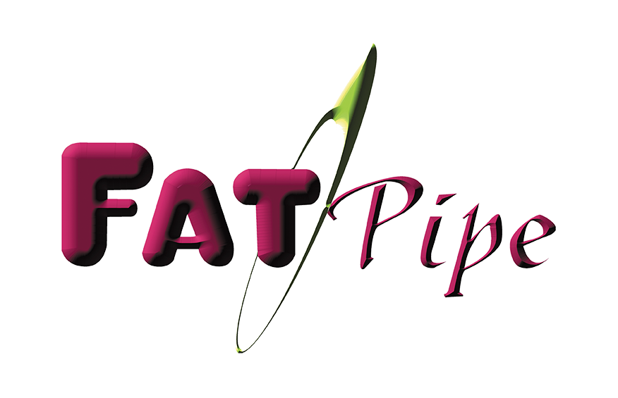 FatPipe Smart DNS