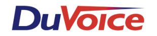 DuVoice Voice SVR Base Lics Inc 150Us