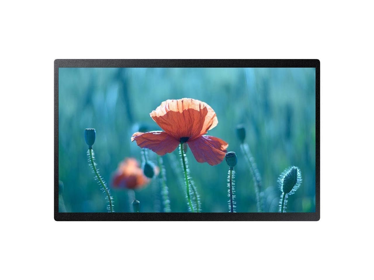 Samsung 24In Com 4K Led/Lcd Disp MInf