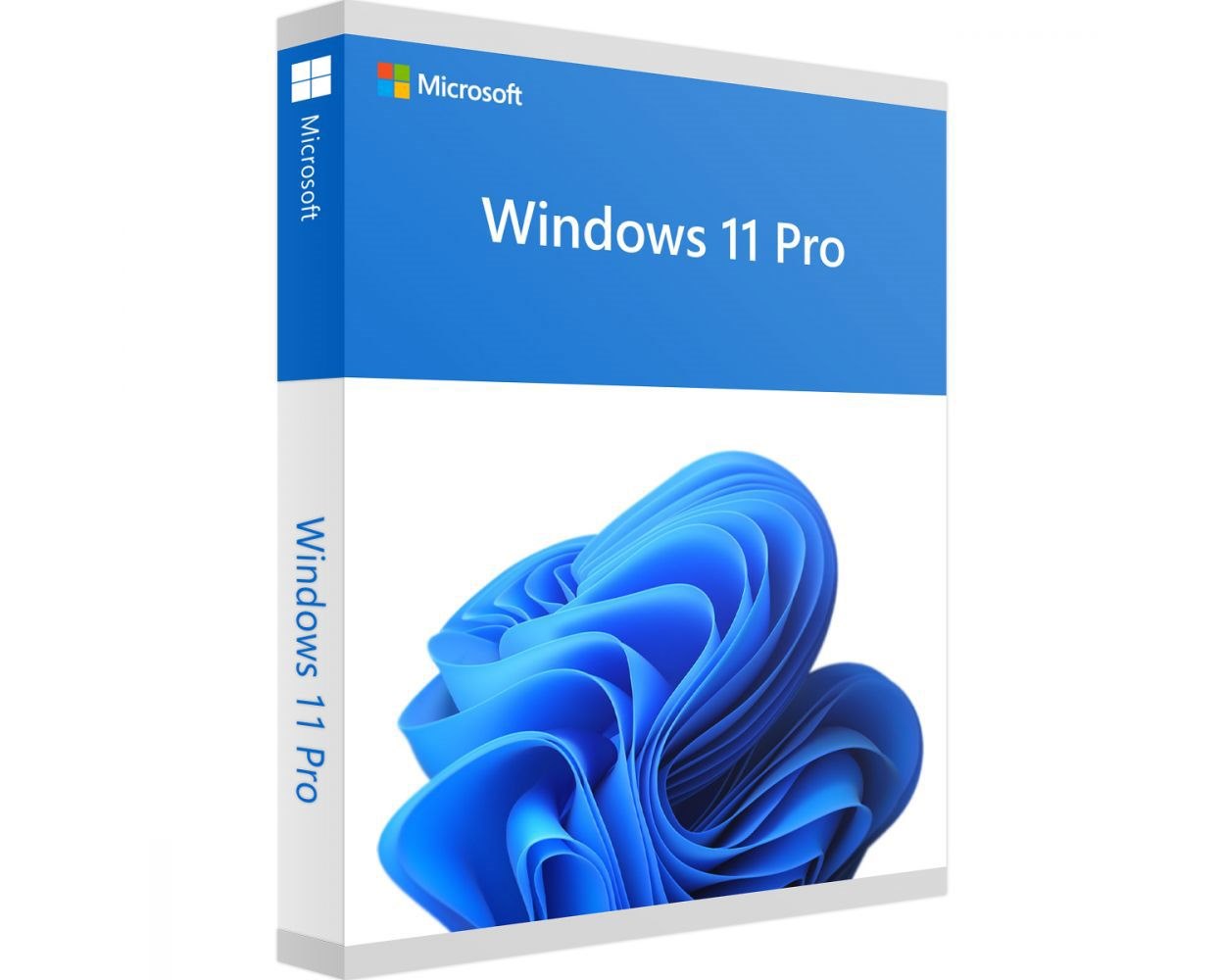 Windows 11 Pro Downloadeable