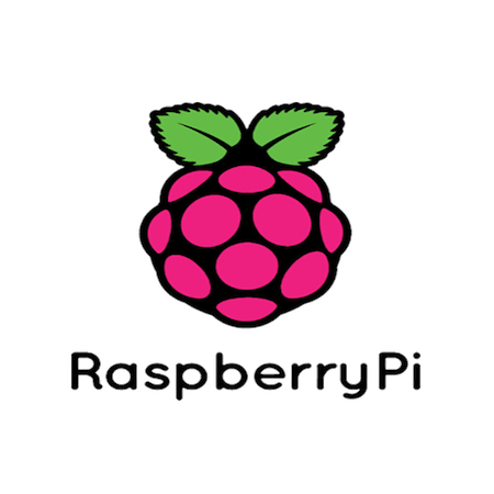 Raspberry Pi SC0202 Official Grey / Black Mouse