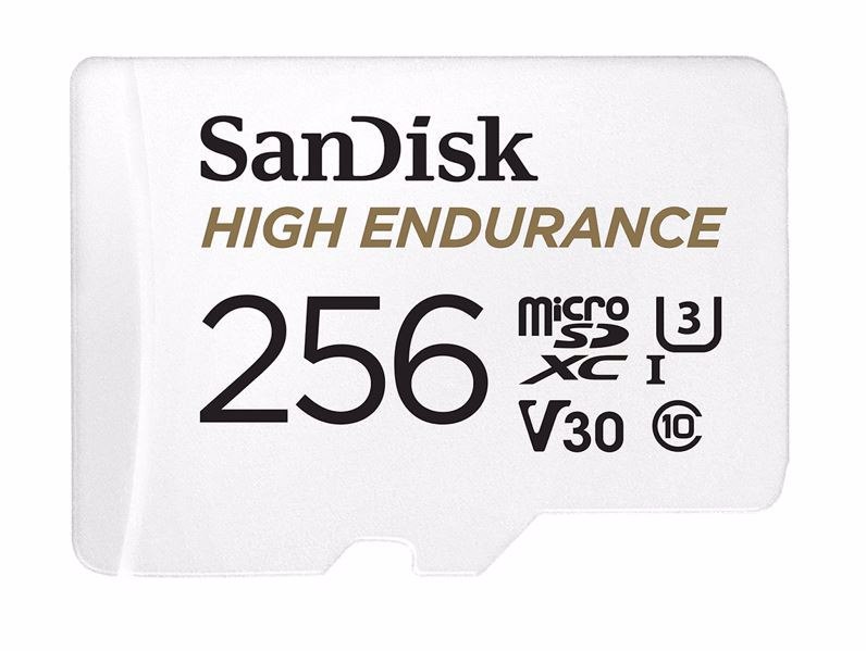 Buy Sandisk High Endurance Microsd Card 256g Rtg