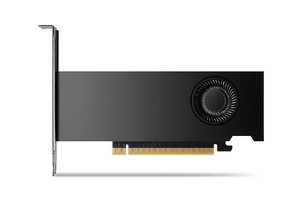 NVIDIA NVIDIA RTX 2000 Ada Graphic Card - 16 GB GDDR6 - Half-height